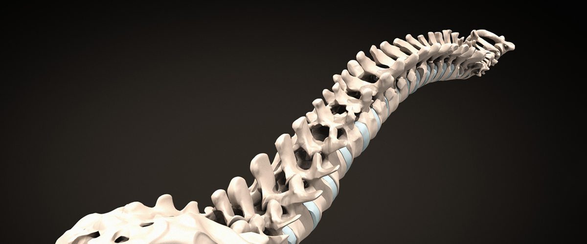 Spine-1200x500.jpg