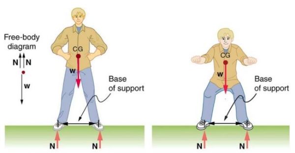 a-really-simple-story-center-of-gravity-and-spinal-mechanics-backpro